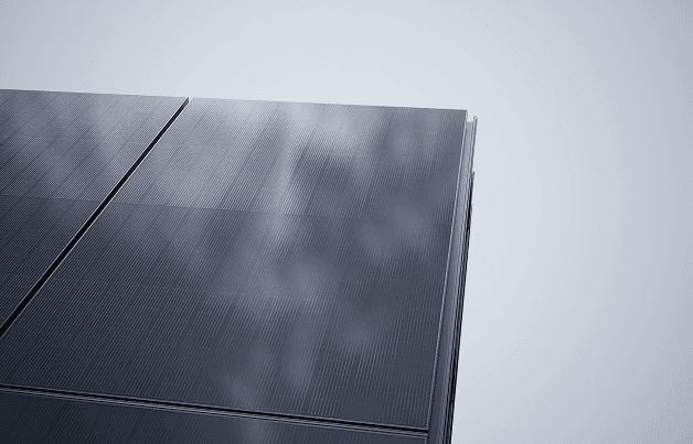 Efficient panels with PERC cells capture ground light reflection increasing energy efficiency even in diffuse light